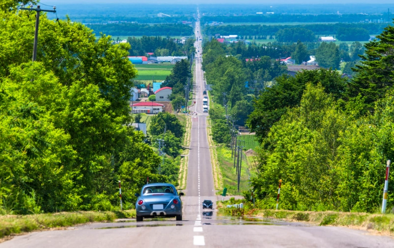 北海道交通替代