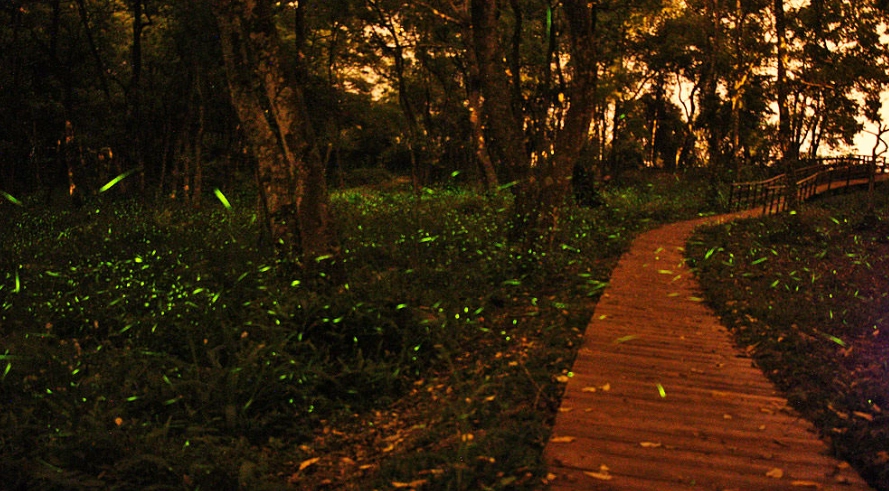 高雄那瑪夏旅遊