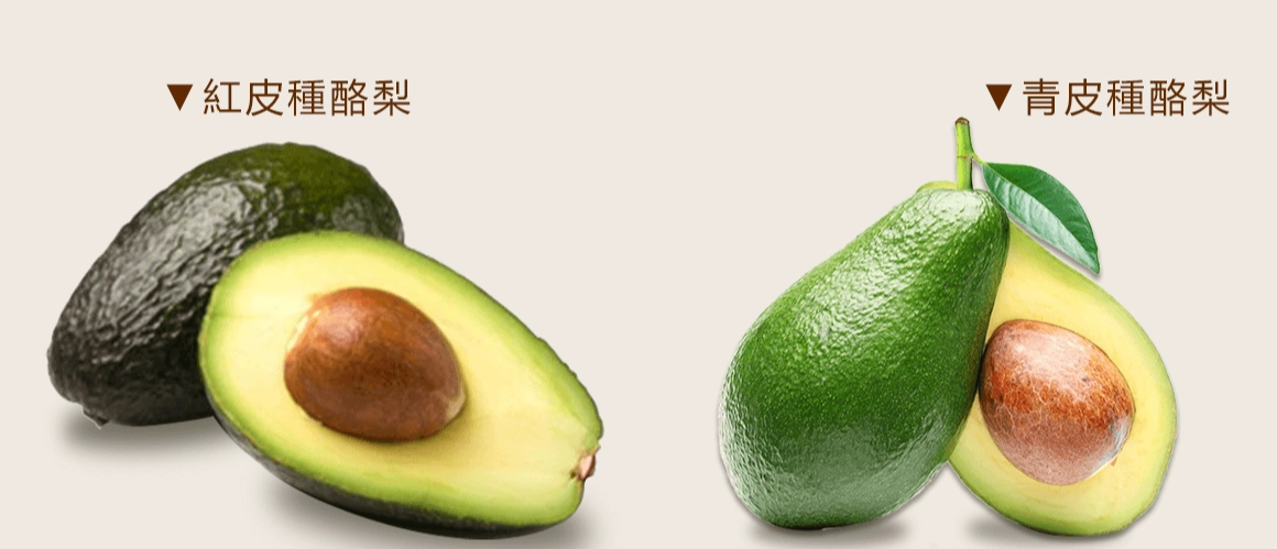 酪梨保存方法 酪梨保存方法