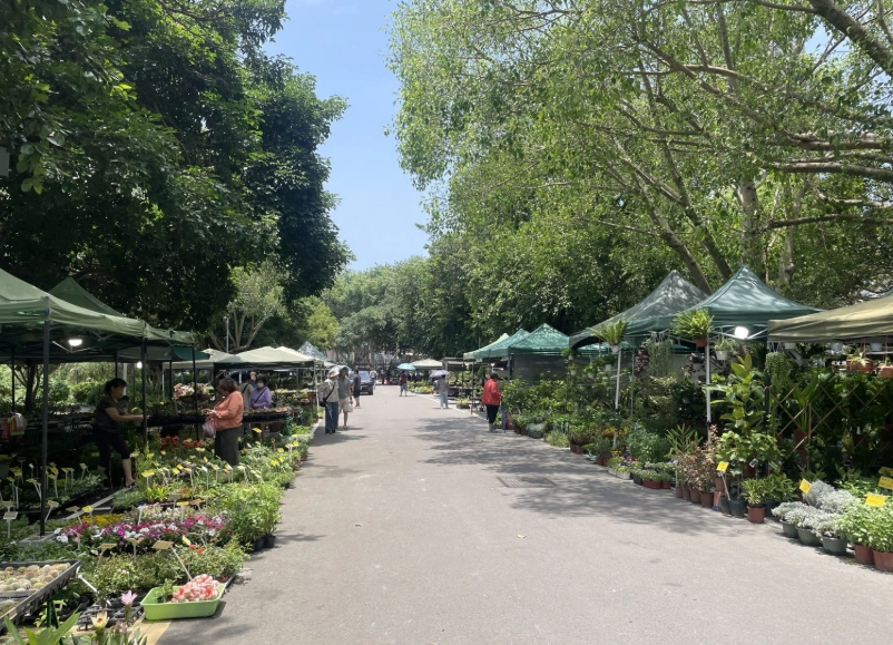 新竹花市停車 新竹花市停車