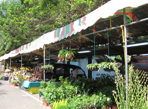 新竹花市停車 新竹花市停車