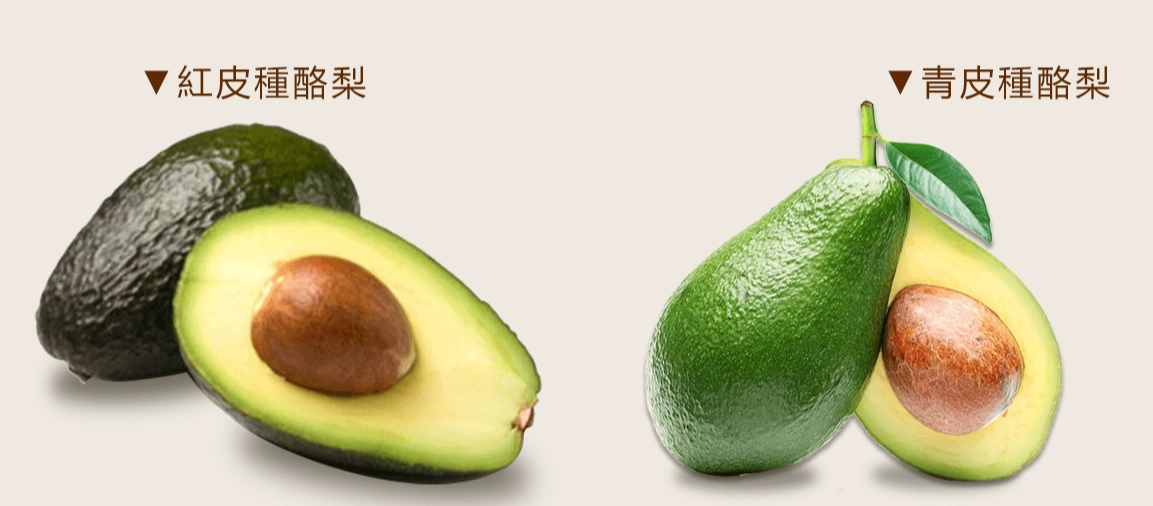 酪梨怎麼熟 酪梨怎麼熟