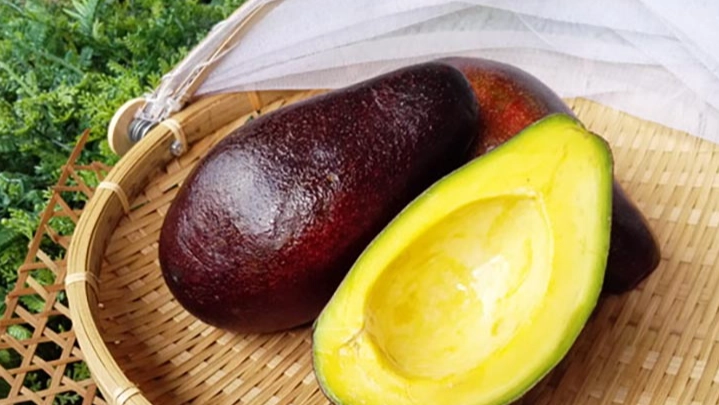 酪梨沒熟怎麼辦 酪梨沒熟怎麼辦