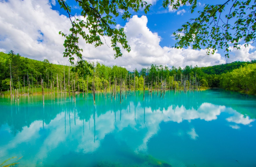 北海道租車價格 北海道租車價格
