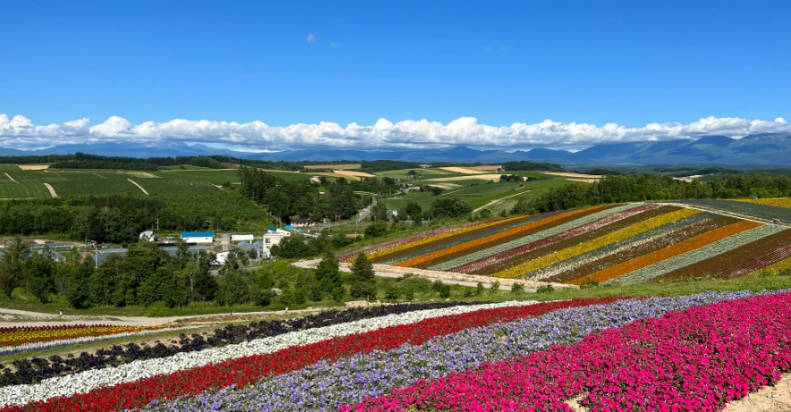 北海道自駕攻略 北海道自駕攻略