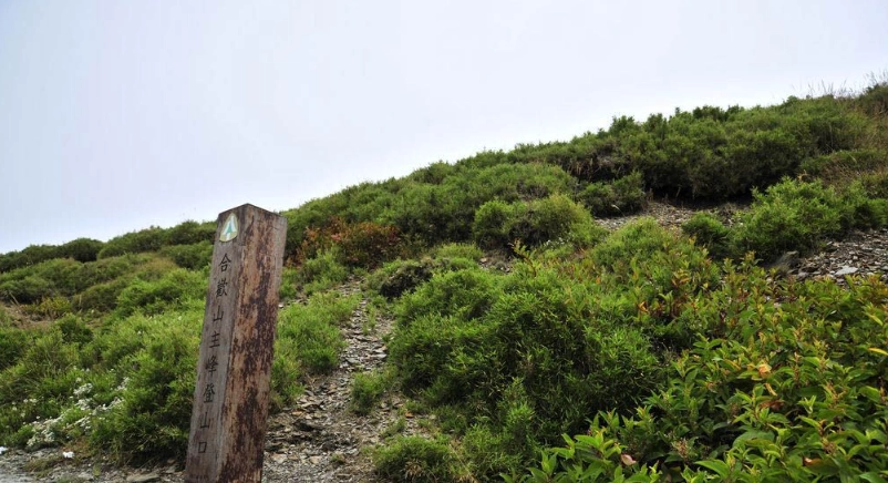 合歡山登山口交通 合歡山登山口交通