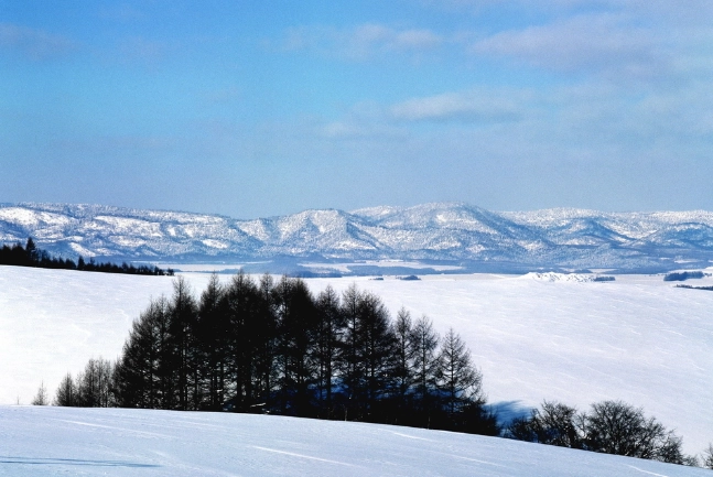 冬天北海道自驾