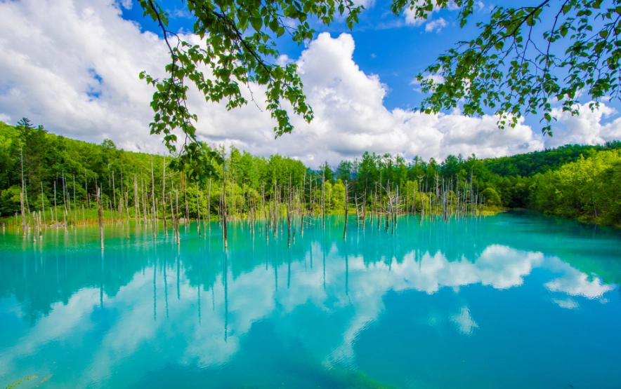 北海道停車場 北海道停車場