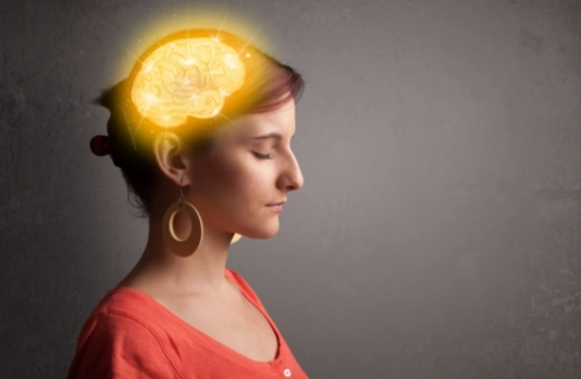 高敏感大腦定義 高敏感大腦定義