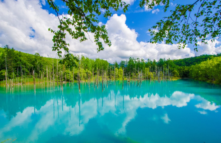 北海道自駕攻略 北海道自駕攻略