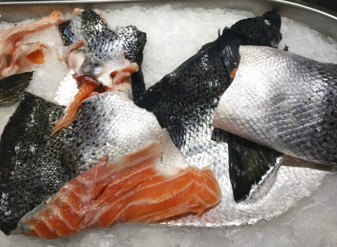 急凍三文魚蒸多久