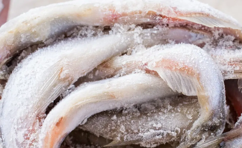 魚類冷凍保存