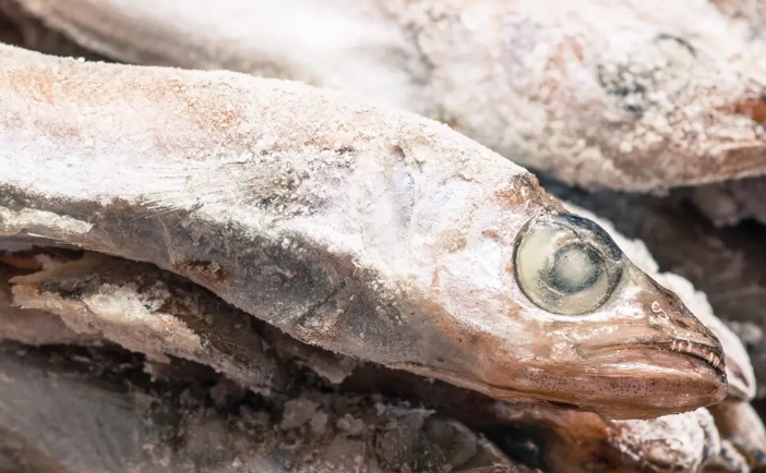 冷藏退冰技巧 冷藏退冰技巧