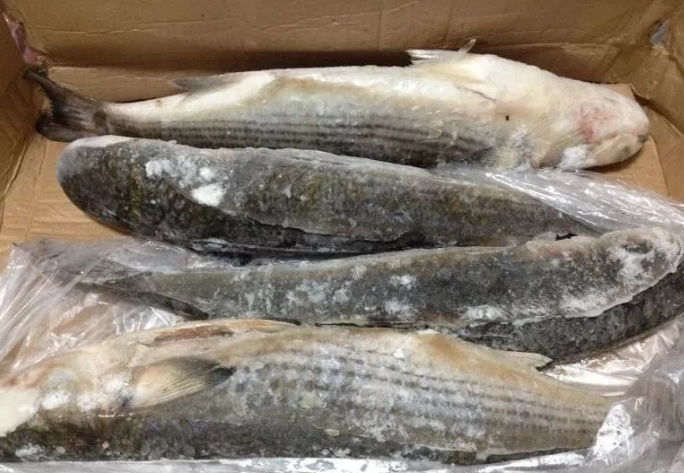 冷藏退冰技巧 冷藏退冰技巧