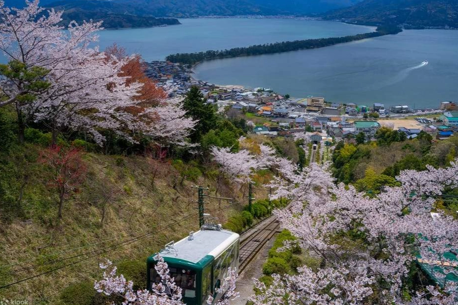 天橋立伊根交通