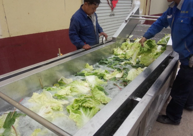 蔬菜清洗方法 蔬菜清洗方法