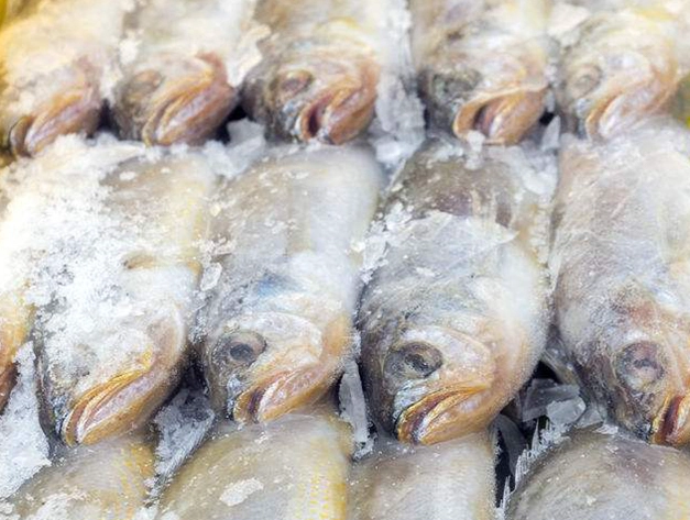 冷凍魚退冰方法 冷凍魚退冰方法