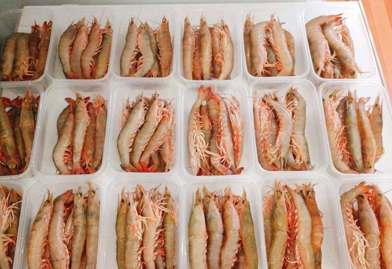 冷凍蝦怎麼保存