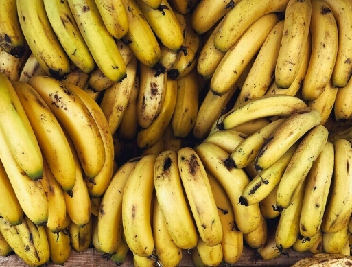 香蕉熟成控制 香蕉熟成控制