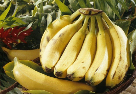 香蕉保存方法 香蕉保存方法