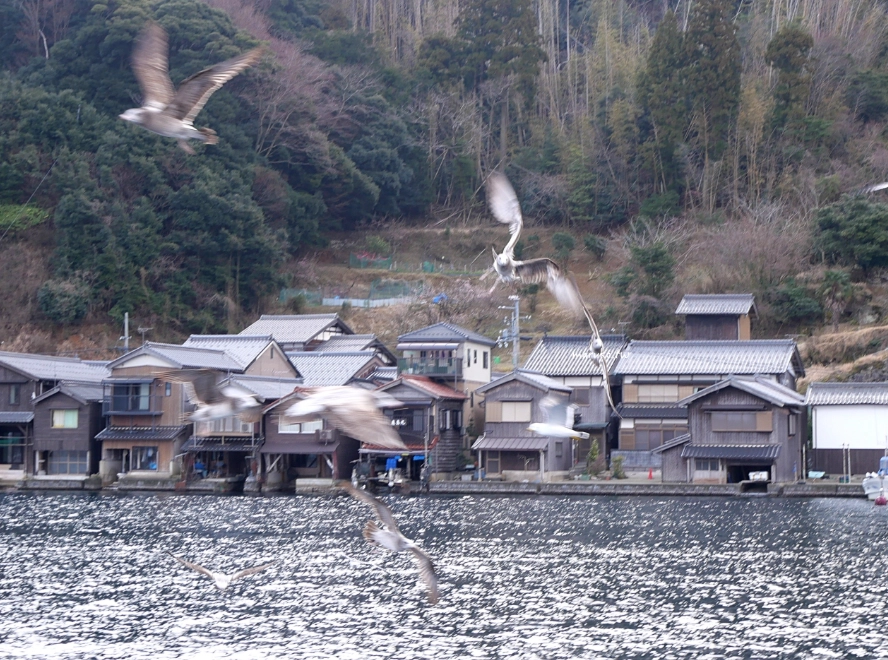 天橋立 美山町 巴士