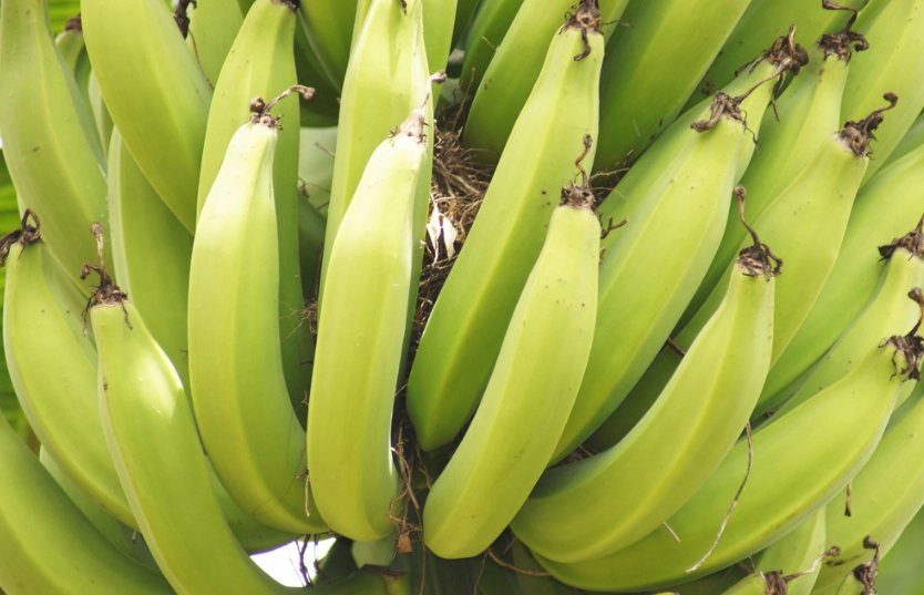 冷凍香蕉保存時間