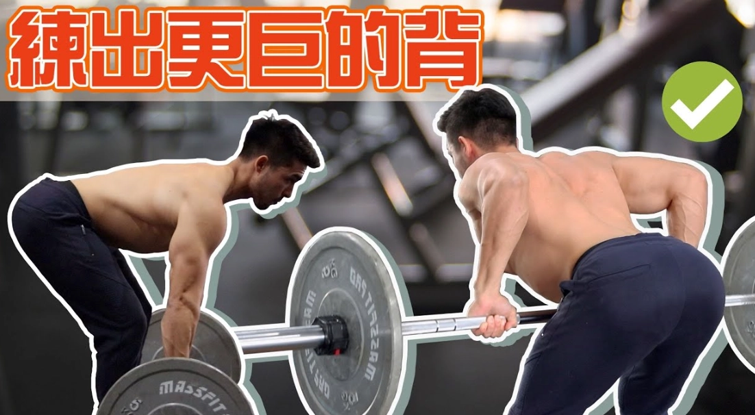 上背部肌肉鍛鍊 上背部肌肉鍛鍊