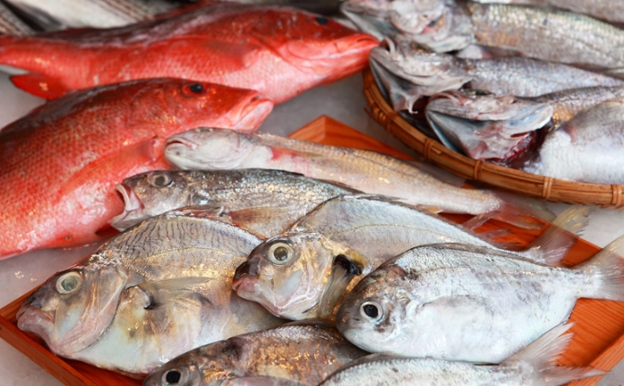 脂肪肝中醫治療