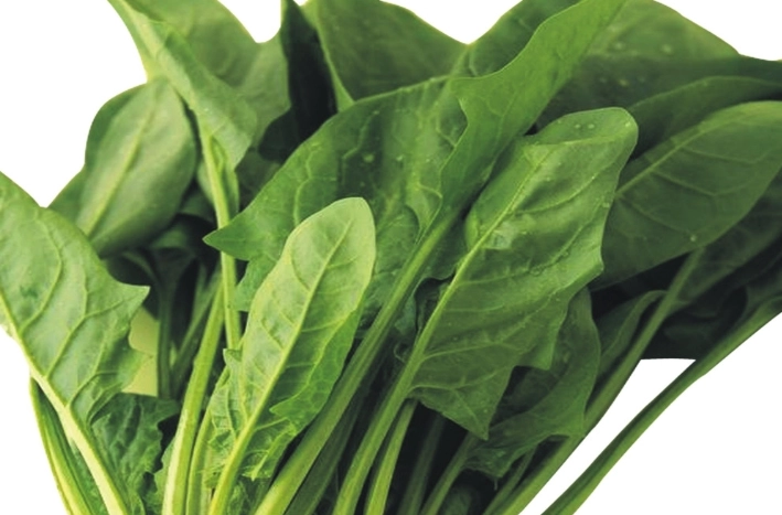 肝經調理 肝經調理