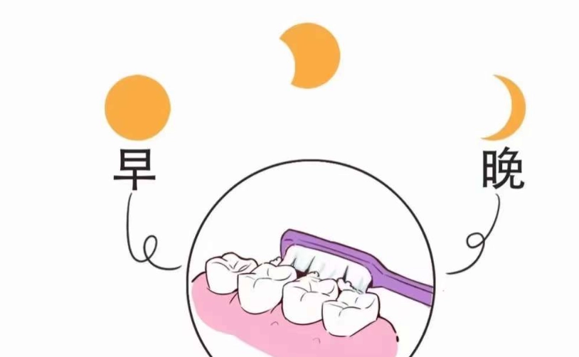 正確口腔清潔步驟 正確口腔清潔步驟