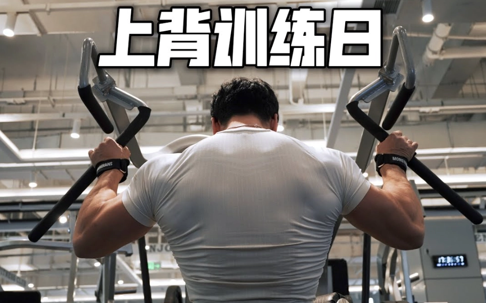 上背部肌肉鍛鍊 上背部肌肉鍛鍊