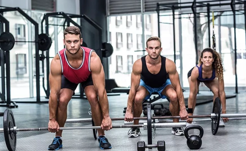 背部肌肉訓練器材