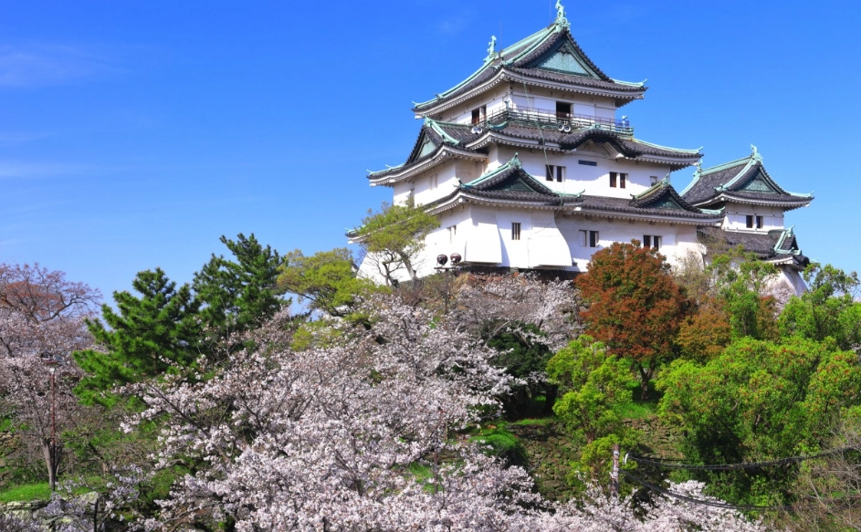 和歌山冬季旅遊