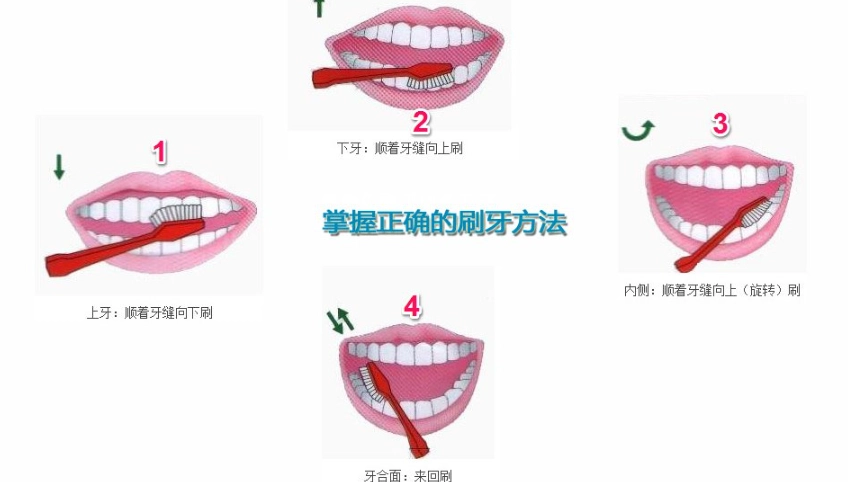正確刷牙步驟 正確刷牙步驟