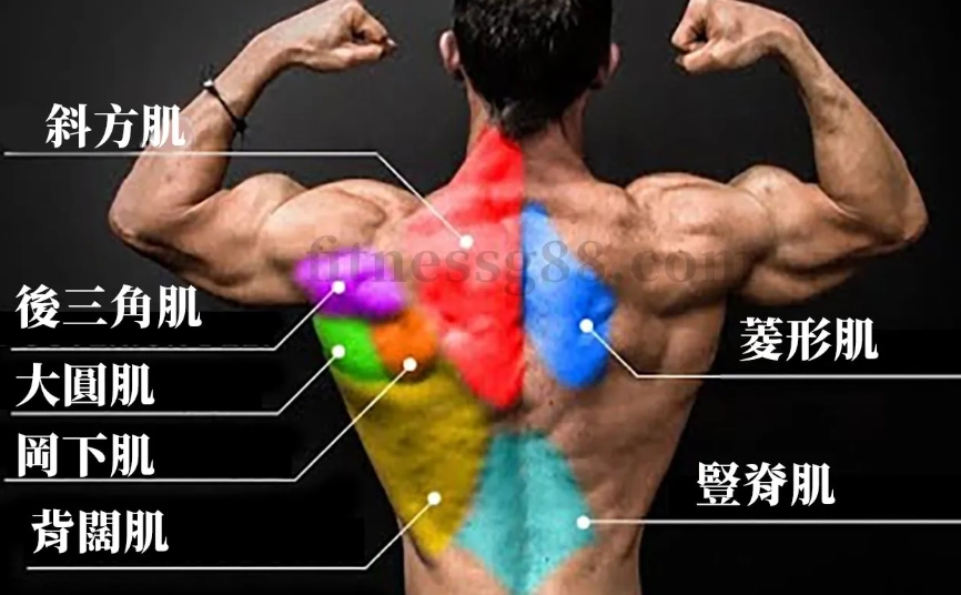 背肌訓練動作