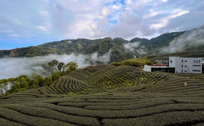 最適合居住的鄉鎮 最適合居住的鄉鎮
