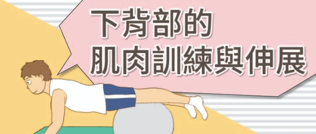 下背痛訓練