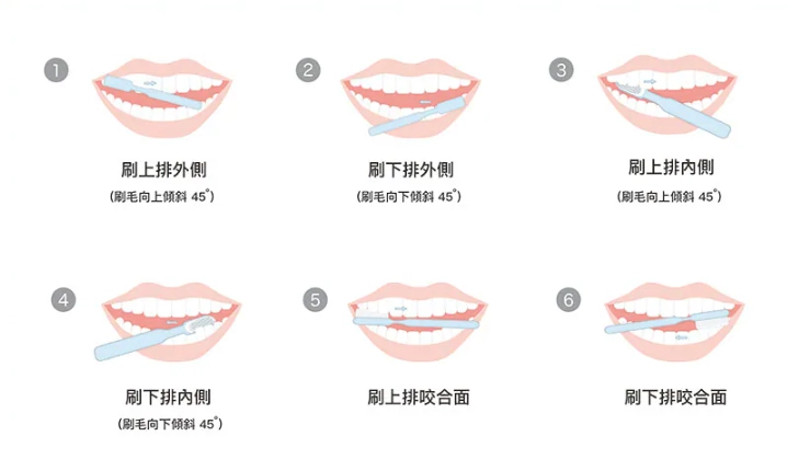 貝氏刷牙法步驟