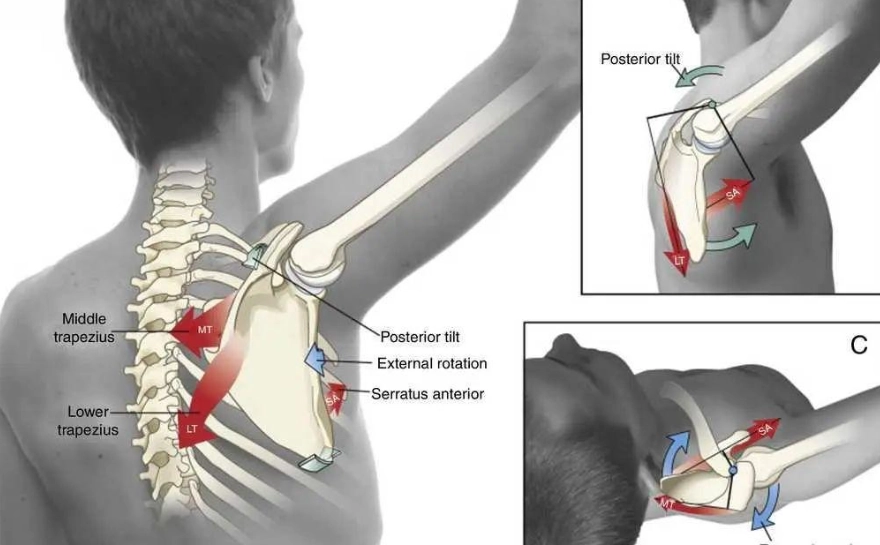 斜方肌放鬆方法 斜方肌放鬆方法