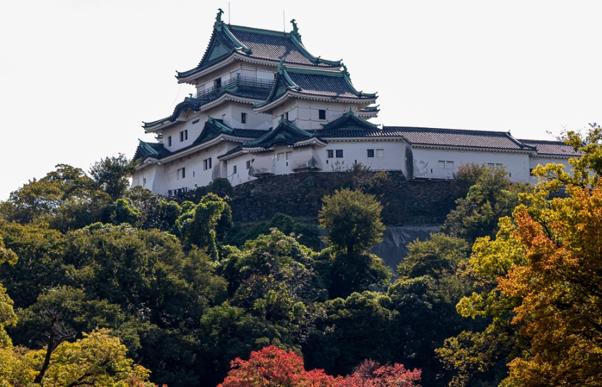 大阪和歌山交通