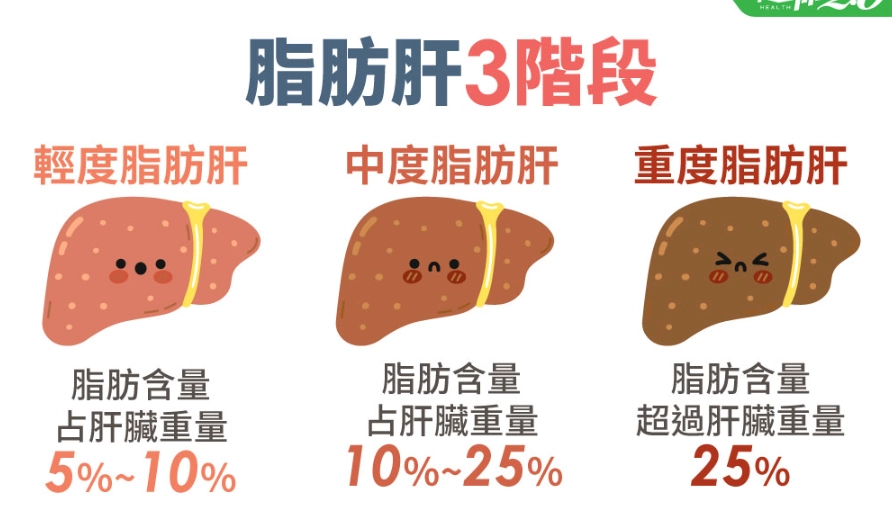 肝經調理 肝經調理