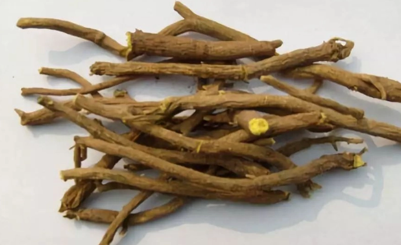 脂肪肝中醫治療