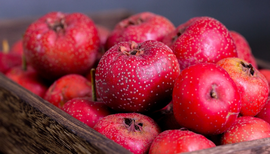 脂肪肝中醫治療