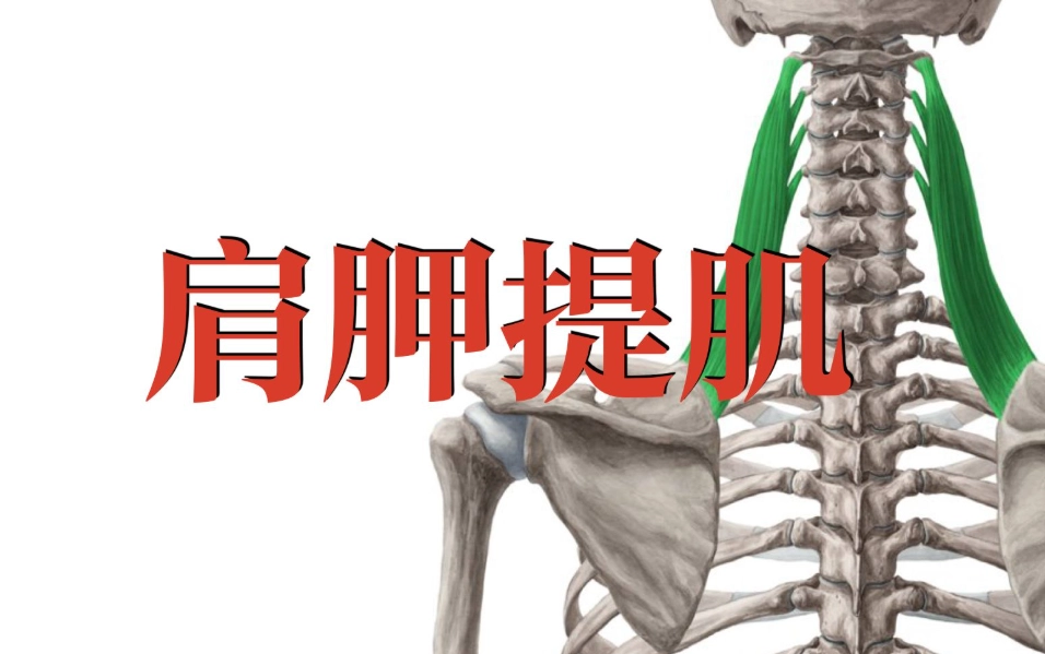 脖子旁邊肌肉痠痛