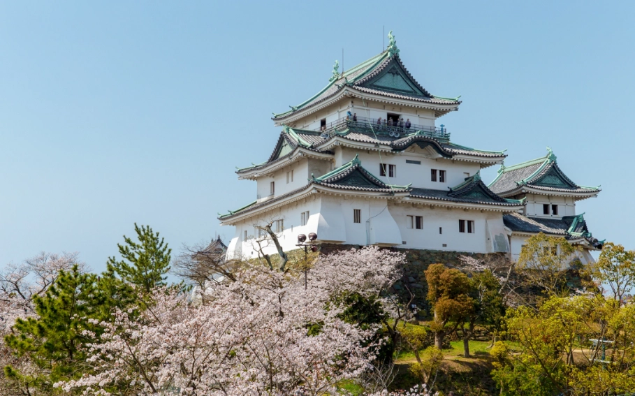 大阪和歌山交通費用