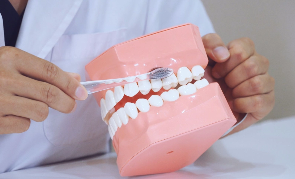 牙醫推薦刷牙時間