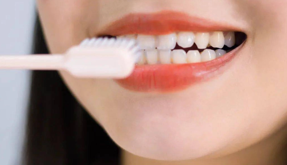 貝氏刷牙法步驟