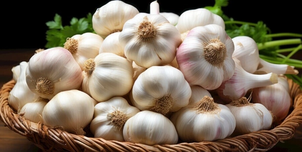 大蒜儲存秘訣