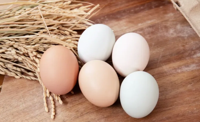 烏骨雞蛋