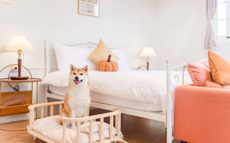 寵物友善住宿評分 寵物友善住宿評分